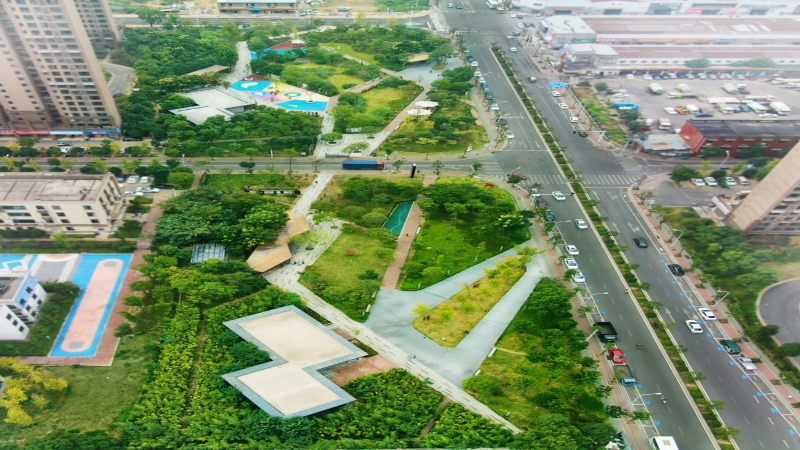 隆平新區龜山公園杉木路綠帶景觀項目